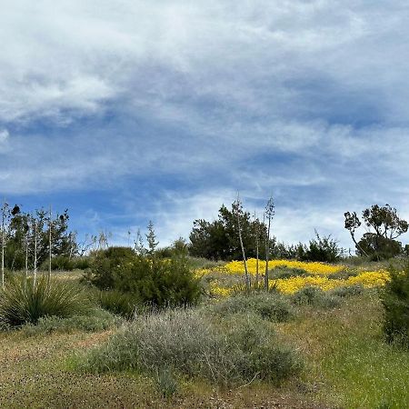 Breathtaking Cabin In Kern River Valley Lake Isabella Exterior photo