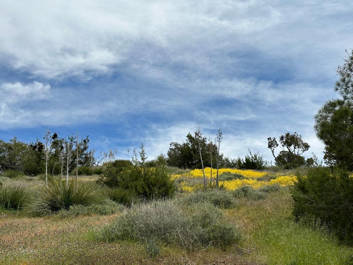 Breathtaking Cabin In Kern River Valley Lake Isabella Exterior photo